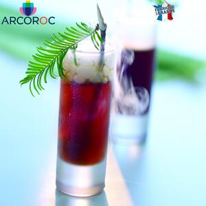 Arcoroc Islande Shot Bicchiere 6 Cl Frosted Set 12 Pz
