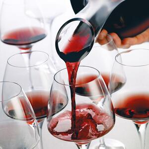 Calice con la coppa allungata e l'orlo leggermente affusolato capace di assicurare un perfetto equilibrio degli aromi, indicato per vini rossi leggeri e per vini bianchi freschi tipo Sauvignon