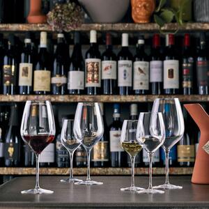 Eleganza e stile italiano, vetro sonoro di altissima purezza e qualità, bordi sottili, leggero e resistente, dedicato all alta sommellerie, raccomandato per vini dessert