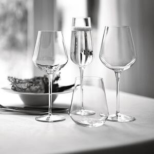 Nato per vini frizzanti e champagne nobili, vetro sonoro di altissima qualità, stile e design italiano, formidabili livelli prestazionali, il top nella ristorazione professionale
