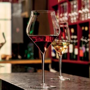 <p>Collezione di calici degustazione 65 cl eleganti e moderni, raccomandati per wine bar, enoteche e ristoranti per la degustazione di vini Burgundy, Barolo, Bourgogne, Nebbiolo, Pinot Nero..</p>
