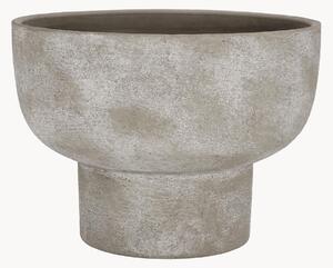 Vaso Hector