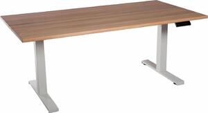 Scrivania da ufficio regolabile in altezza piano bianco in legno massiccio di faggio 160x80cm