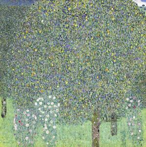 Riproduzione Roses under the Trees 1905, Gustav Klimt