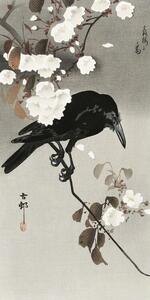 Stampe d'arte Crow And Cherry Blossom, Ohara Koson, (20 x 40 cm)