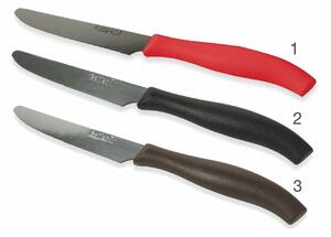 Set 6 coltelli da tavola con lama seghettata in acciaio inox punta arrotondata SìChef