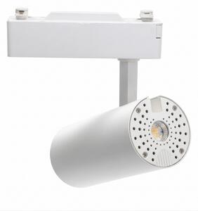 Aigostar - Faretto LED per sistema binario monofase LED/24W/230V bianco