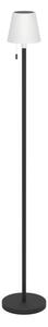 Eglo 75891 - Lampada da terra per esterni dimmerabile LED RGBW MONTAPALMA-L LED/2,2W/3,7V IP54