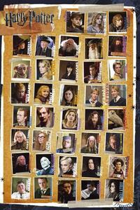 Posters, Stampe Harry Potter 7 - characters, (61 x 91.5 cm)