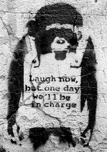 Banksy street art - chimp, (42 x 59 cm)