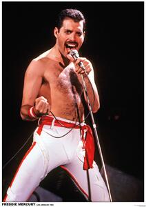 Posters, Stampe Queen Freddie Mercury - Los Angeles 1982, (59.4 x 84 cm)