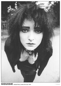 Posters, Stampe Siouxsie The Banshees - London 81, (59.4 x 84 cm)