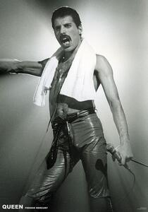 Posters, Stampe Queen Freddie Mercury - Live On Stage, (59.4 x 84 cm)