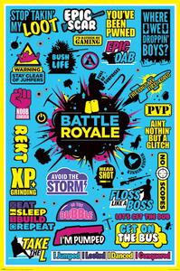 Posters, Stampe Battle Royale - Infographic, (61 x 91.5 cm)