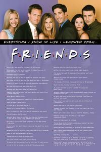 Posters, Stampe Friends - Everything I Know, (61 x 91.5 cm)
