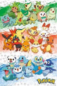 Posters, Stampe Pokemon - First Partners, (61 x 91.5 cm)