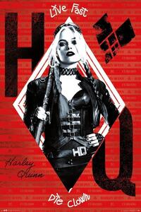 Posters, Stampe The Suicide Squad - Harley Quinn