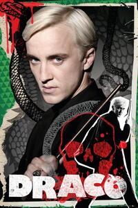 Posters, Stampe Harry Potter - Draco, (61 x 91.5 cm)