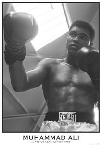 Posters, Stampe Muhammad Ali, (59.4 x 84.1 cm)