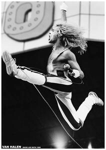 Posters, Stampe Van Halen - David Lee Roth 1980, (59.4 x 84.1 cm)