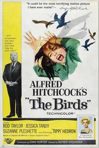 Posters, Stampe Alfred Hitchcock - The Birds, (61 x 91.5 cm)