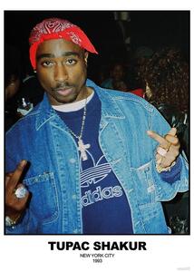 Posters, Stampe Tupac Shakur - N Y C 1993, (59.4 x 84.1 cm)