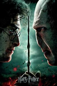 Posters, Stampe Harry Potter and the Deadly Hallows, (80 x 120 cm)