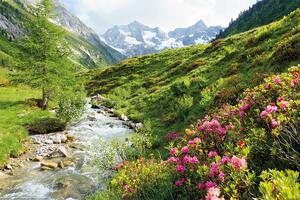 Posters, Stampe Alps - Nature and Mountains, (120 x 80 cm)