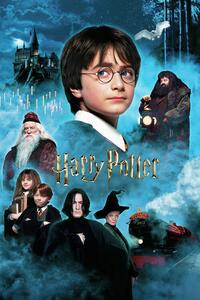 Posters, Stampe Harry Potter and the Philosopher s Stone, (80 x 120 cm)