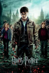 Posters, Stampe Harry Potter and the Deadly Hallows - trio, (80 x 120 cm)