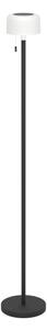 Eglo 75888 - Lampada da terra per esterni dimmerabile LED RGBW MONTAPALMA-L LED/2,2W/3,7V IP54