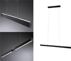 Lampada a sospensione Paulmann LED Aptare