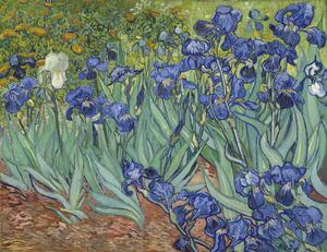 Gogh, Vincent van - Stampa artistica Irises 1889, (40 x 30 cm)