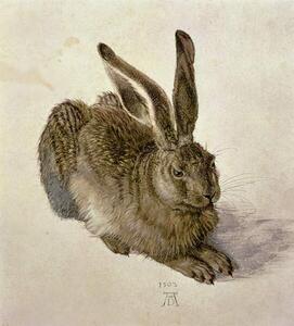 Albrecht Dürer - Stampa artistica Hare 1502, (35 x 40 cm)