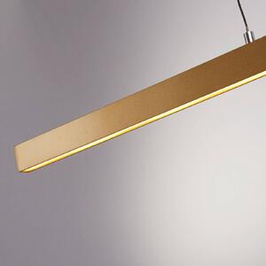 Searchlight Lampada a sospensione Layla LED, lineare, oro, regolabile in altezza, CCT