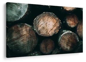 Quadro su tela – Tronchi di legno da vicino