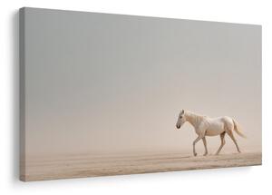 Quadro su tela – Cavallo bianco nel deserto