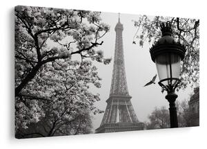 Quadro su tela – Parigi nella foschia invernale
