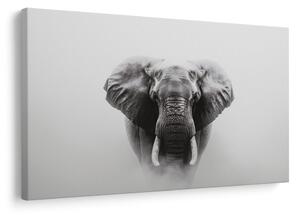 Quadro su tela – Maestoso elefante nella nebbia