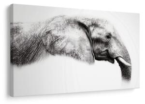 Quadro su tela – Profilo elegante di elefante