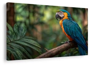Quadro su tela – Armonia variopinta della natura