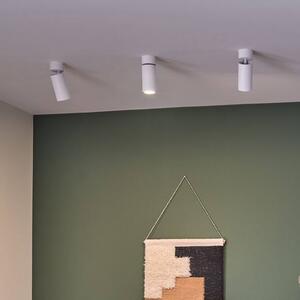 Paulmann Plafoniera LED Turnal Coin, bianca, in metallo, 2.700 K dimmerabile, Bianco / Opale, Soggiorno / Sala da pranzo, Metallo, Moderno, Downlight