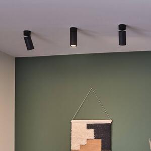 Paulmann Plafoniera LED Turnal Coin, metallo nero, 2.700 K dimmerabile, Nero, Soggiorno / Sala da pranzo, Metallo, Moderno, Downlight