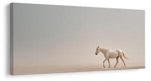Quadro su tela – Cavallo tranquillo sulla sabbia