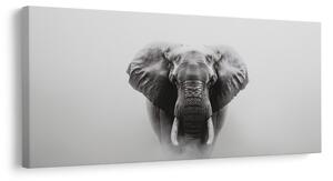 Quadro su tela – Ritratto di elefante in bianco e nero
