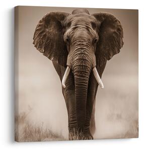 Quadro su tela – Elefante africano nella nebbia
