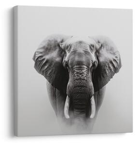 Quadro su tela – Forza e serenità dell'elefante