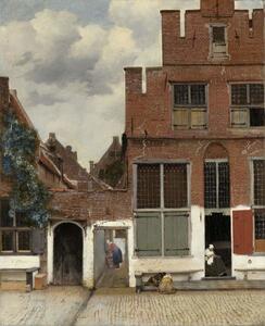 Jan (1632-75) Vermeer - Stampa artistica View of Houses in Delft known as 'The Little Street', (35 x 40 cm)