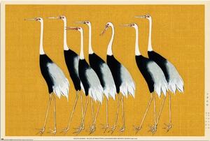 Posters, Stampe Ogata Korin - Flock of Beatiful Japanese Red Crown Crane