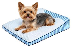 Cuccia fresca per cani con cuscino imbottito